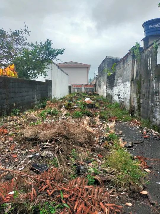 Terreno Rua Caiamoré, Vila Margarida - Foto 3