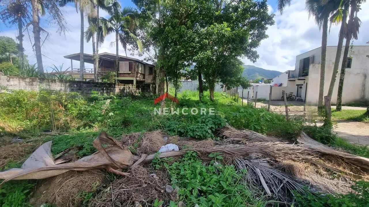 Lote em Rua Tenente José Maria Pinto Duarte - Maranduba - Ubatuba/SP - Foto 2