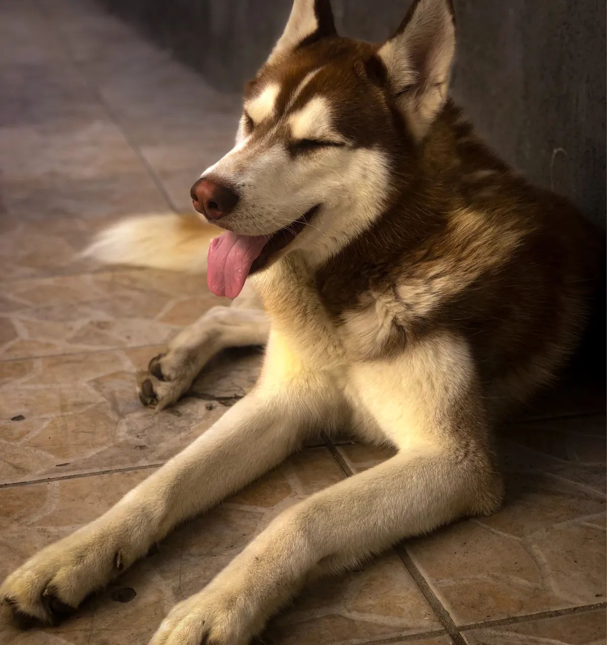 Procuro namorada - Foto 2