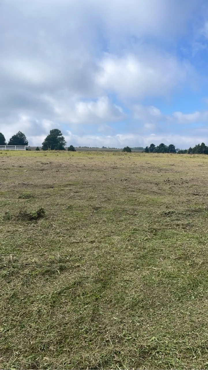 Agro Terreno para soja milho ou batatas com vista para a Br277