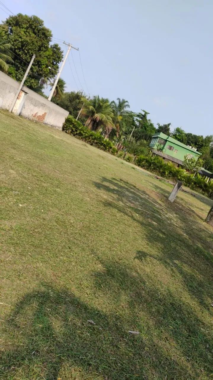 Vendo Mini Sítio em Seropédica - (Campo  Lindo) SOMENTE VENDA - Foto 3