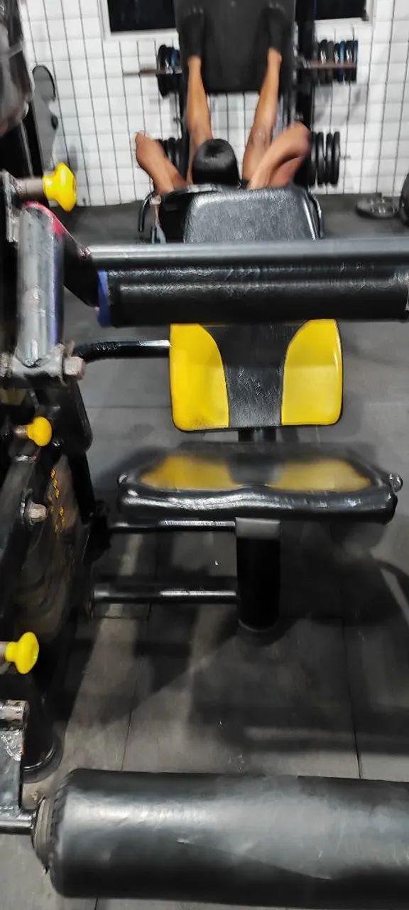 Extensora/Flexora 64293896669569122