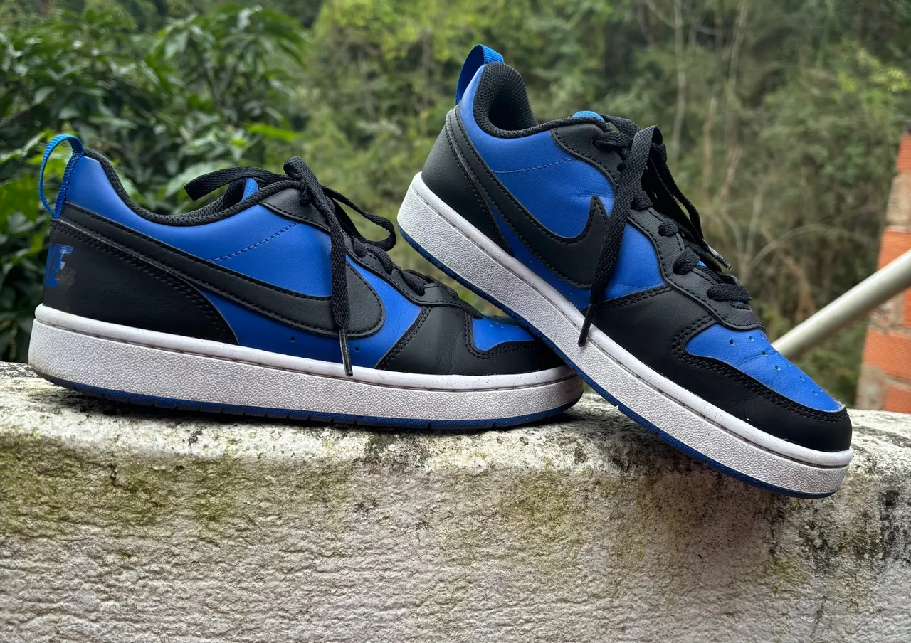 Tênis Infantil Nike Court Borough Low Recraft