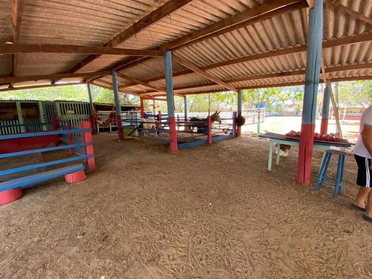 Chácara à venda com 3 casas Barra Verde Limeira - Foto 5