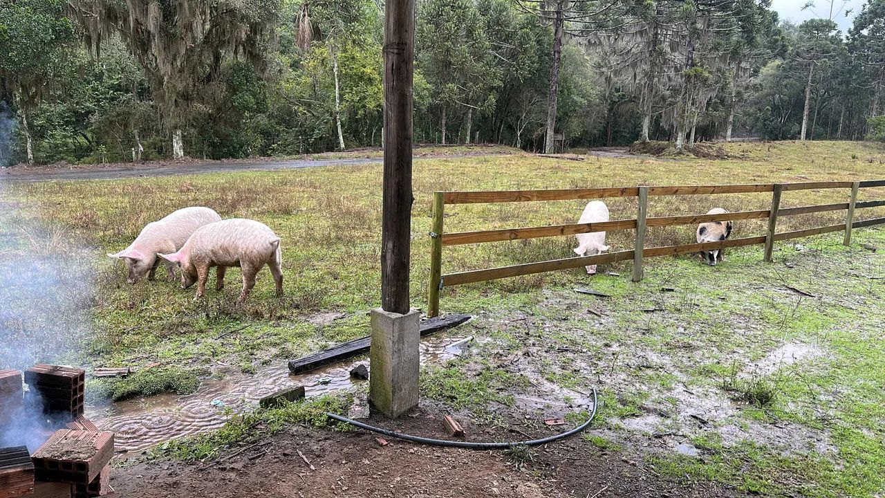 Sítio em Alfredo Wagner  - Foto 4