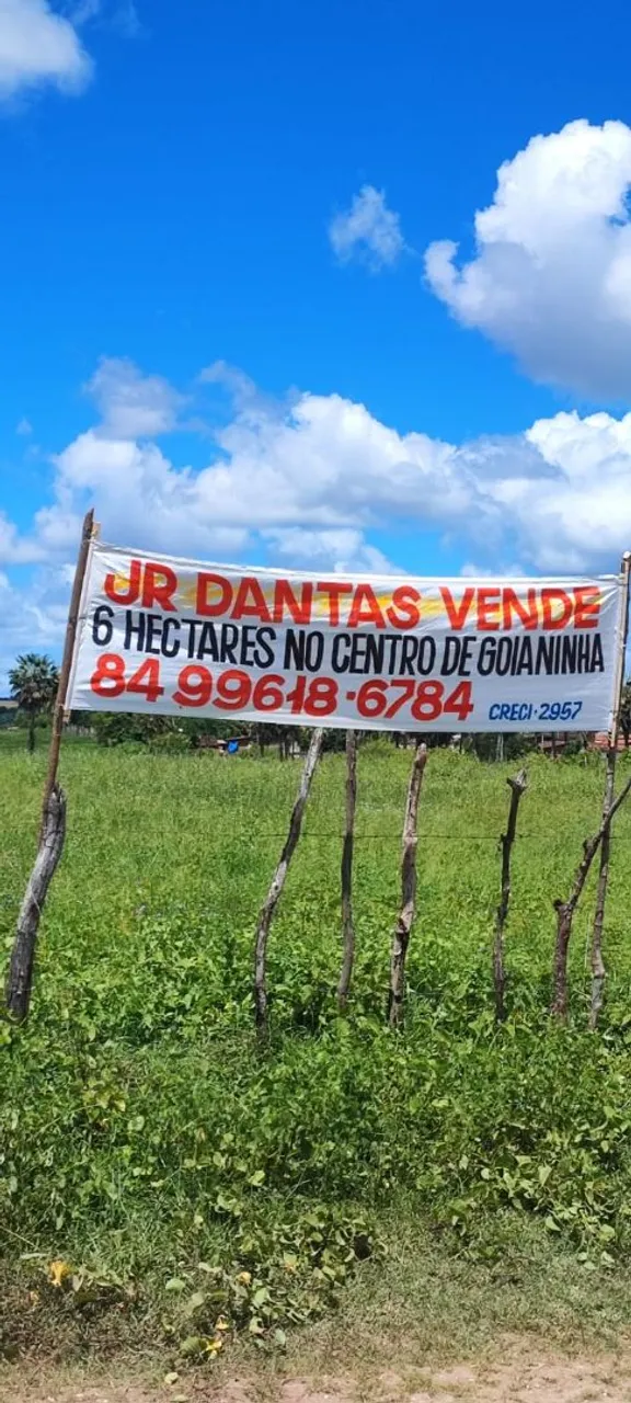 Vendo 6 hectares no centro urbano de Goianinha em zona urbana no bairro pitombeira !!