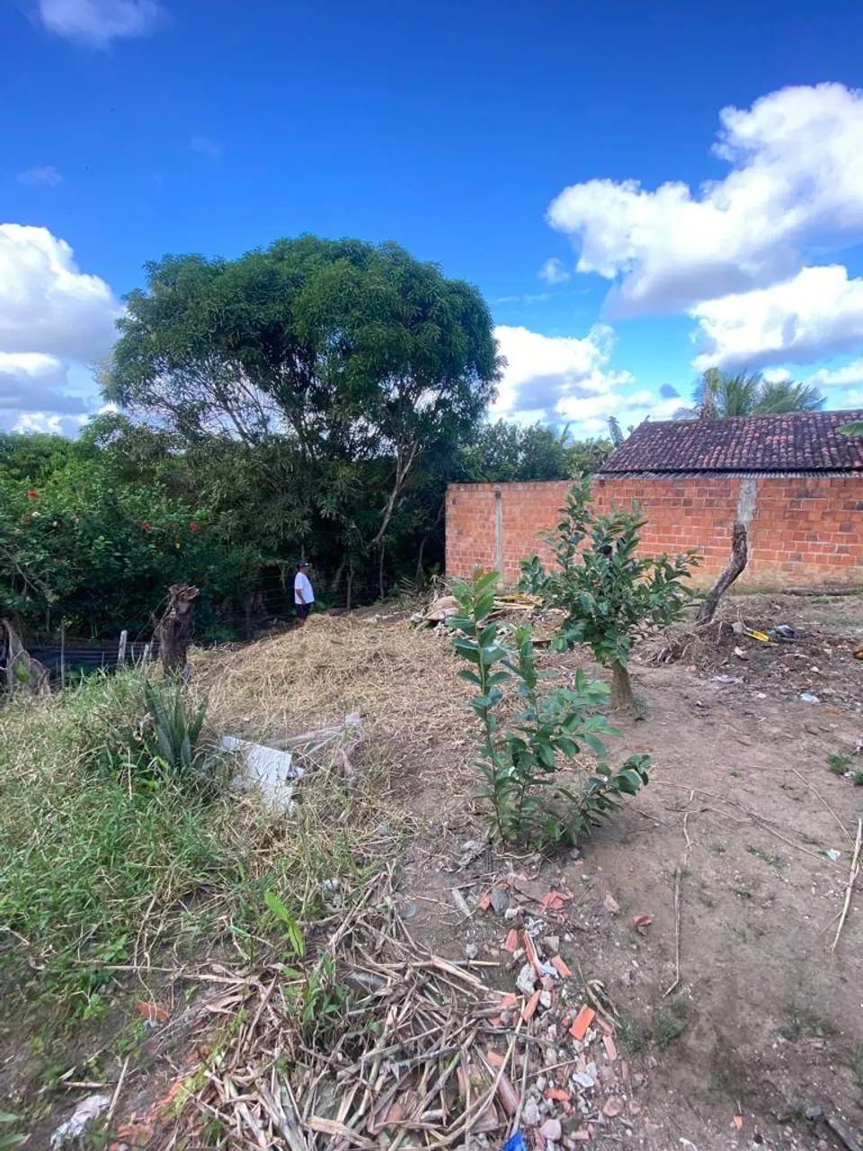 Foto - Maceió - Cidade Universitária