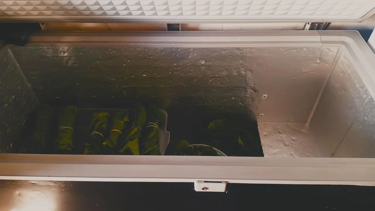 Freezer horizontal 220v - Foto 5
