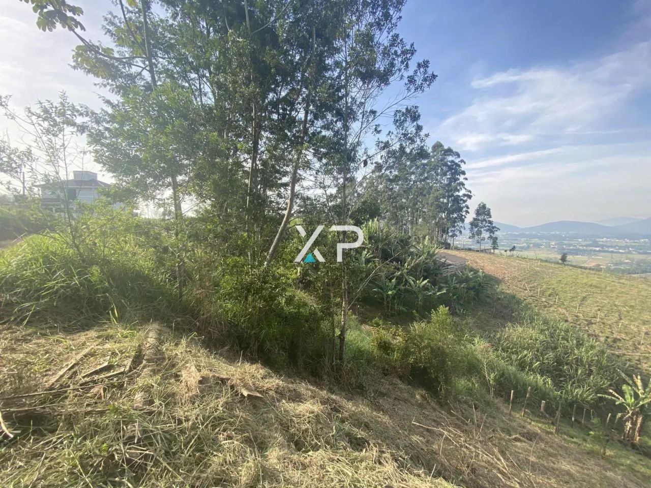 Terreno Santo Amaro à venda | XP1989 - Foto 2