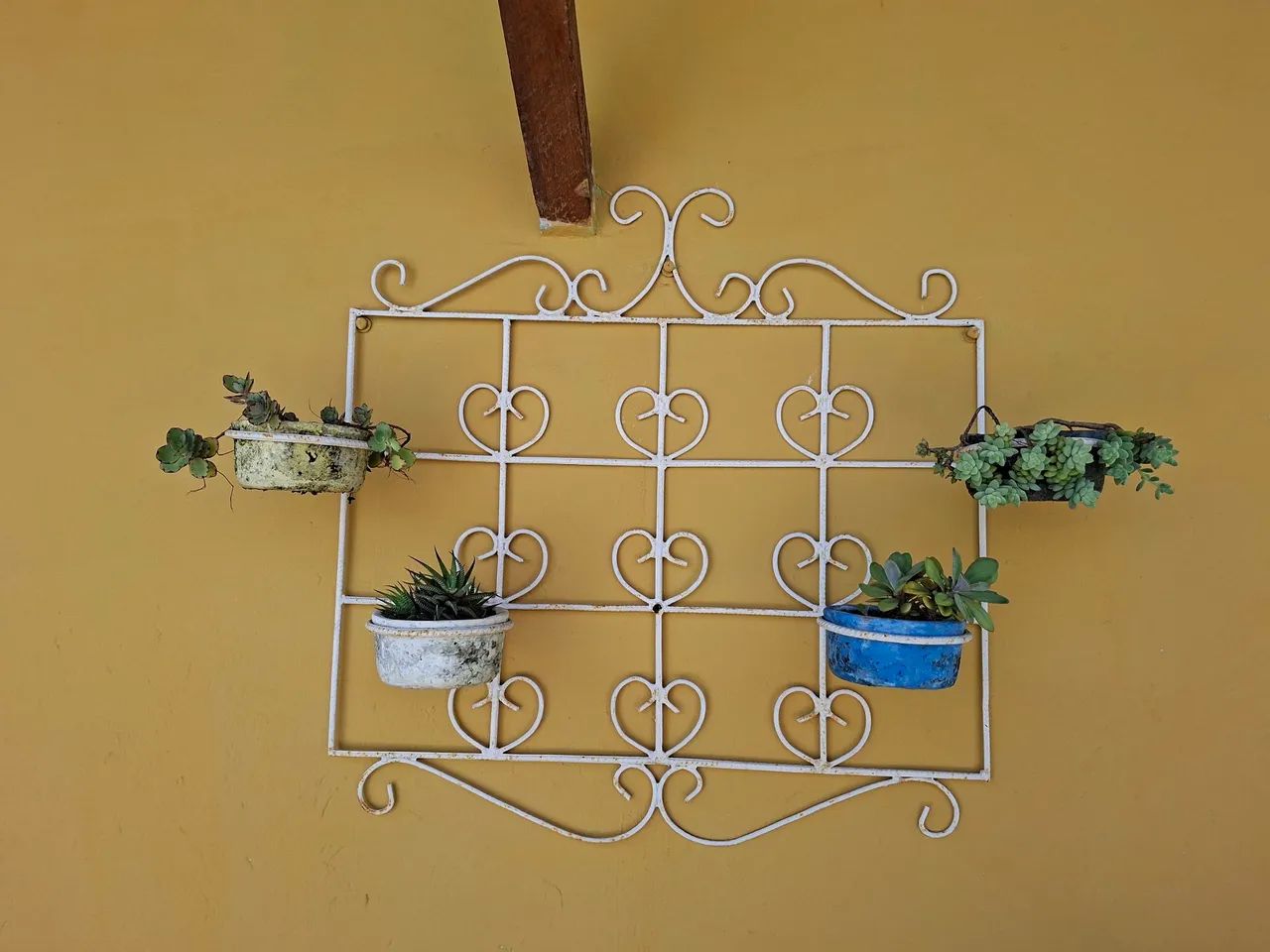 Jarros e plantas - Foto 2