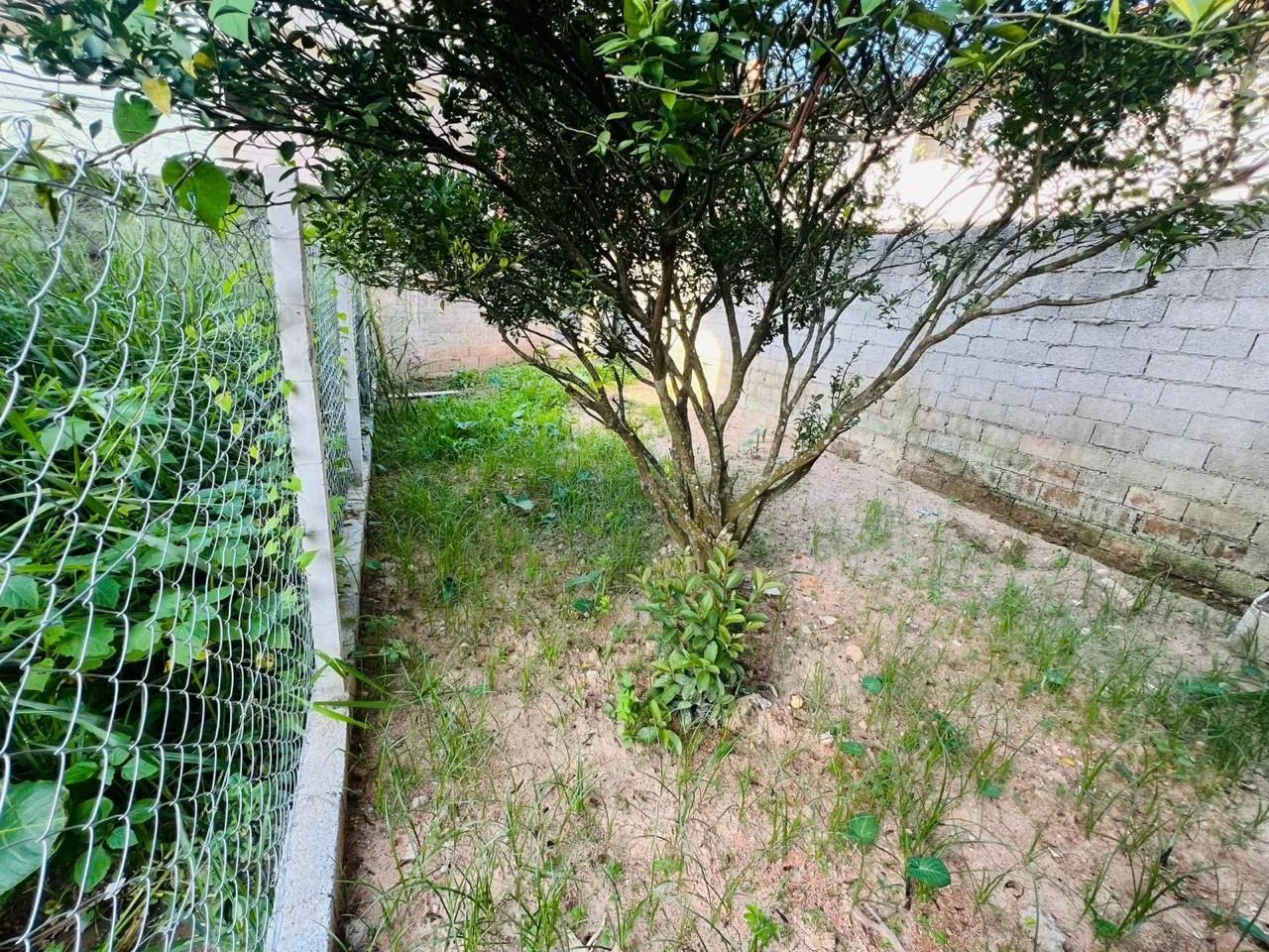 Foto - São Paulo - Jardim Sabiá
