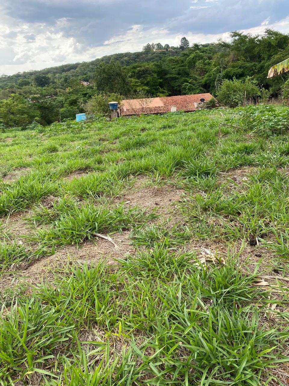 Terreno de 1000m2 - Foto 3