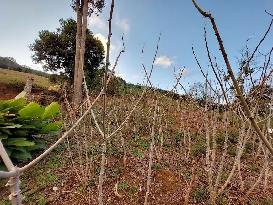 Imóvel para venda possui 3000 metros quadrados com 2 quartos - Foto 5