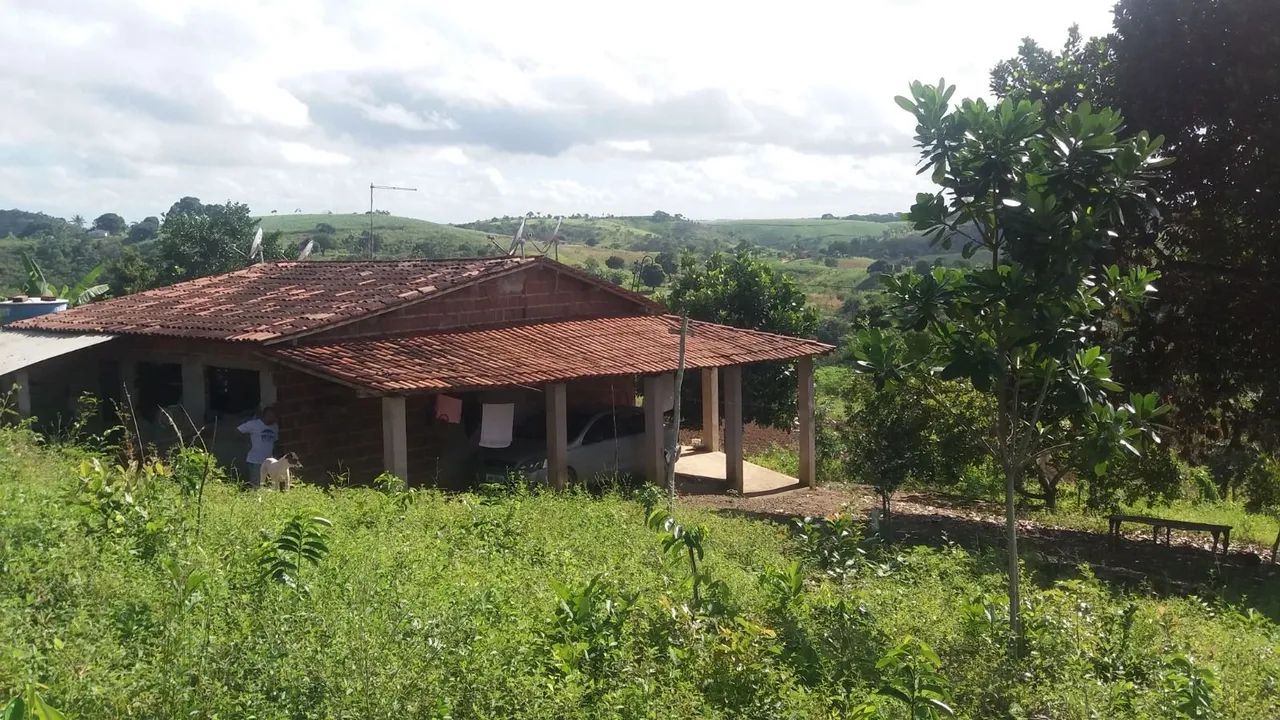 Granja santa Maria  - Foto 4