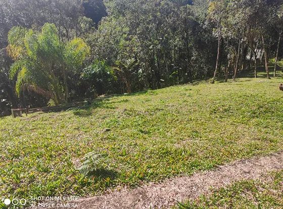  OPORTUNIDA VENDO OU TROCO - TERRENO PARA CHALÈ - CHACARA  - Foto 3