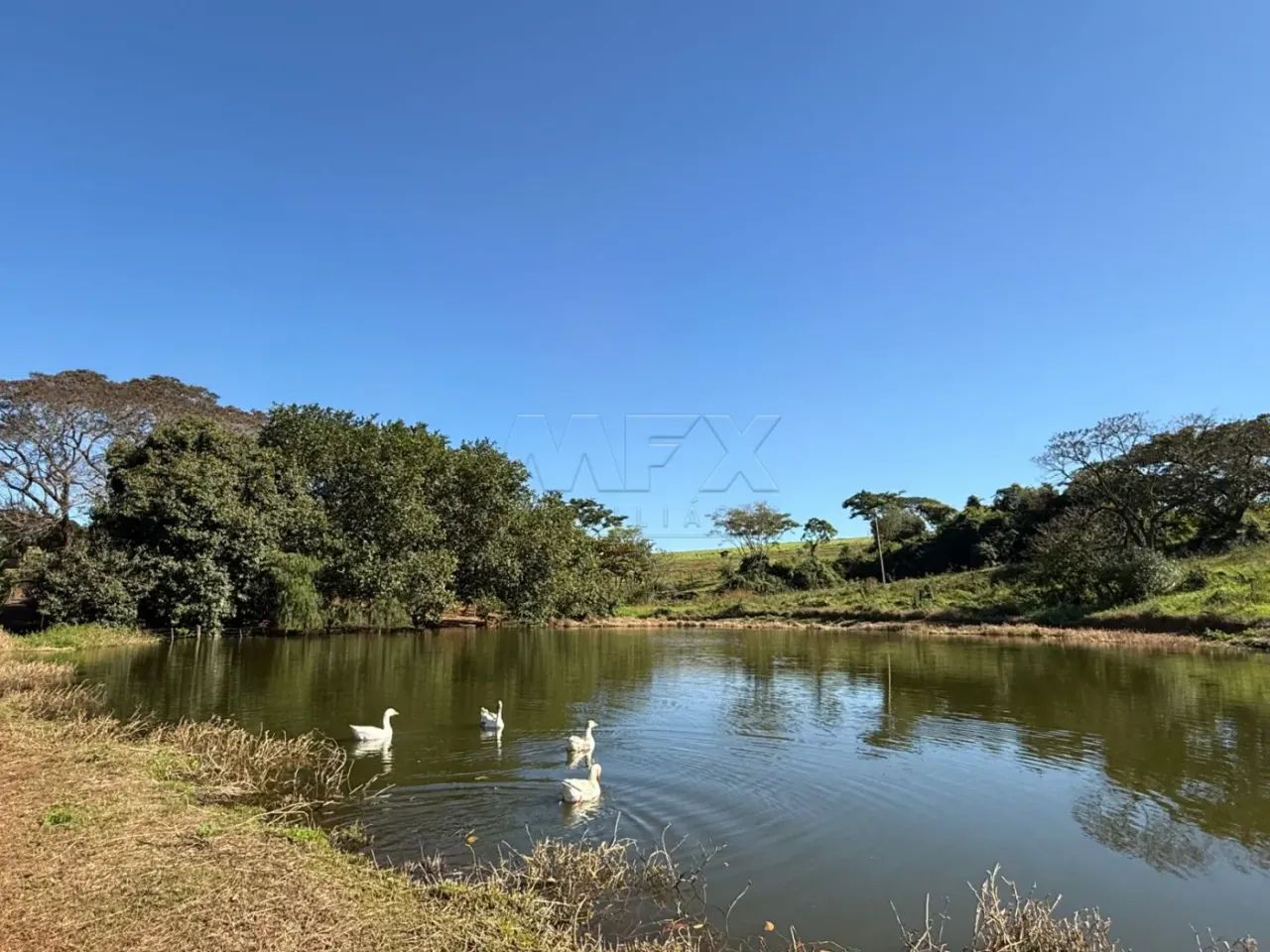 Sítio à venda - Bariri -SP