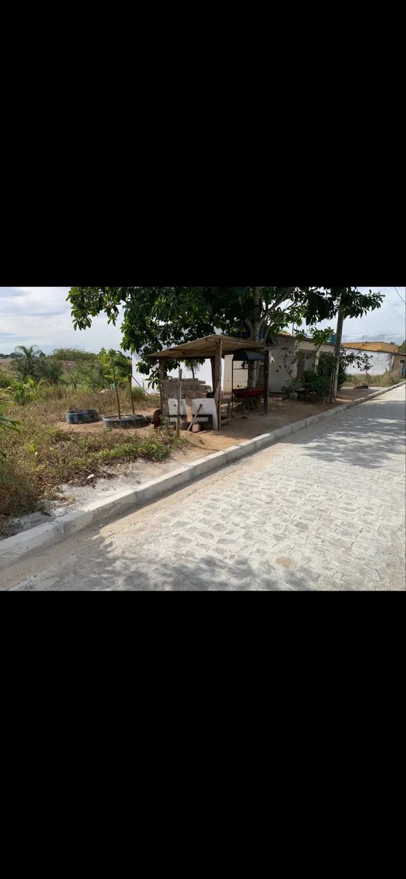Terreno  - Foto 2