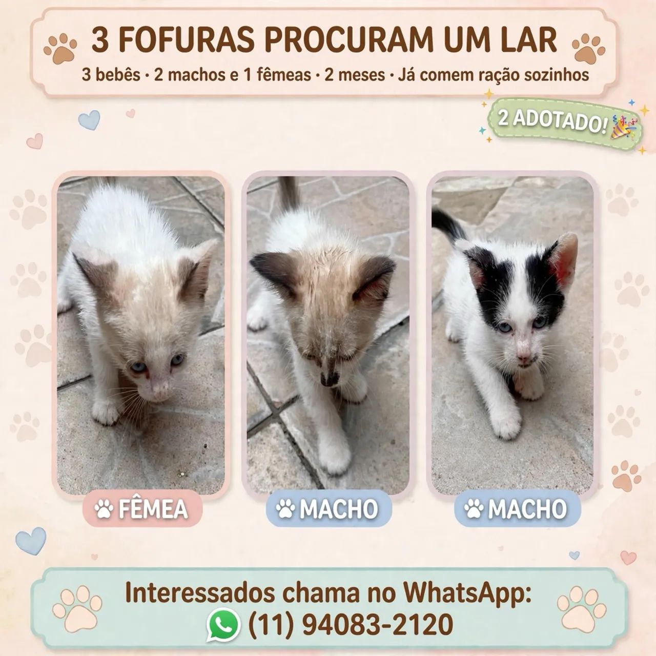 Adoção com amor 