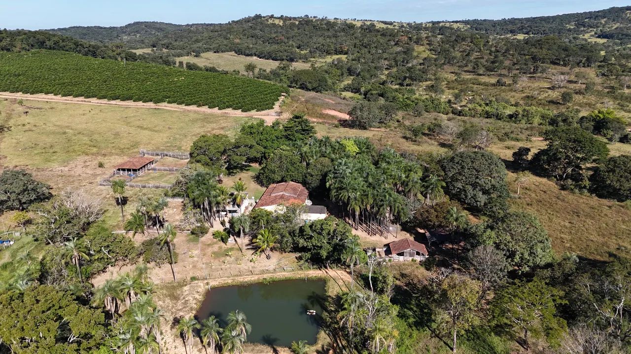 Fazenda de 31 alqueires professor jamil