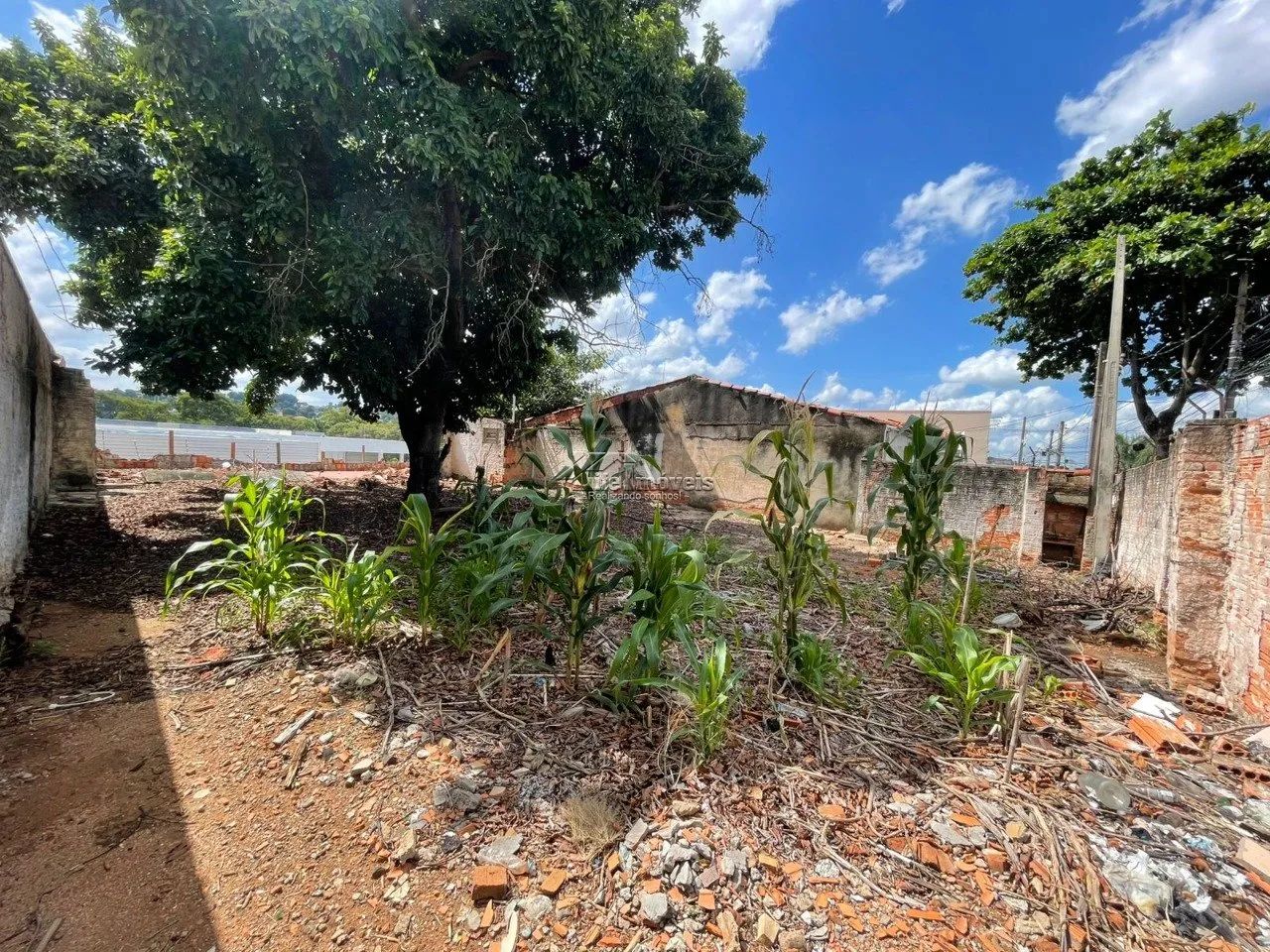 Terreno 300m² - Taquaral Campinas - Foto 3