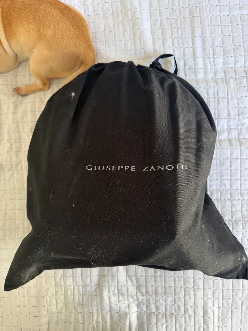 Mochila Giuseppe Zanotti  - Foto 2