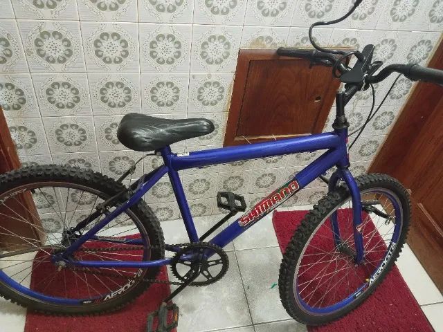 Bicicleta