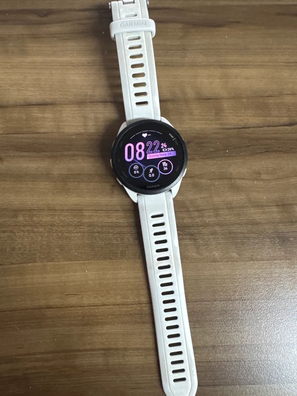 Garmin 165 