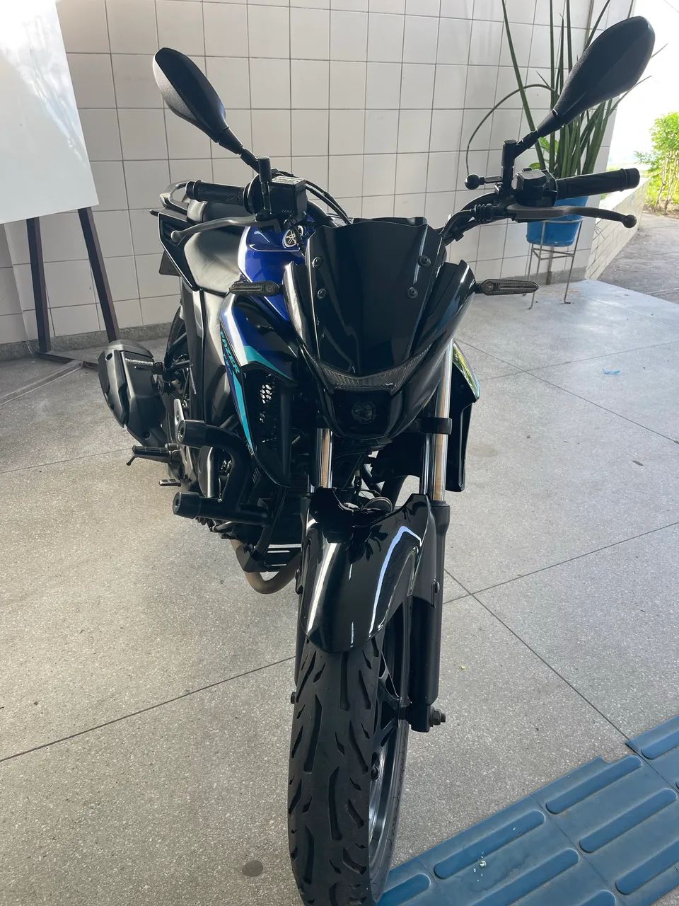 Fazer 250/2024 ( Primeiro Dono ) 