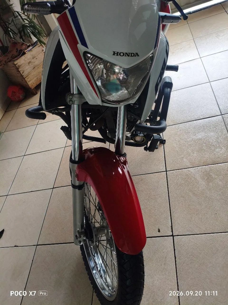 Nx Falcon 2015 - Foto 4