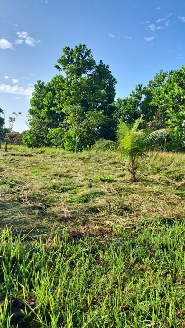 Terreno Curiçá - Foto 2