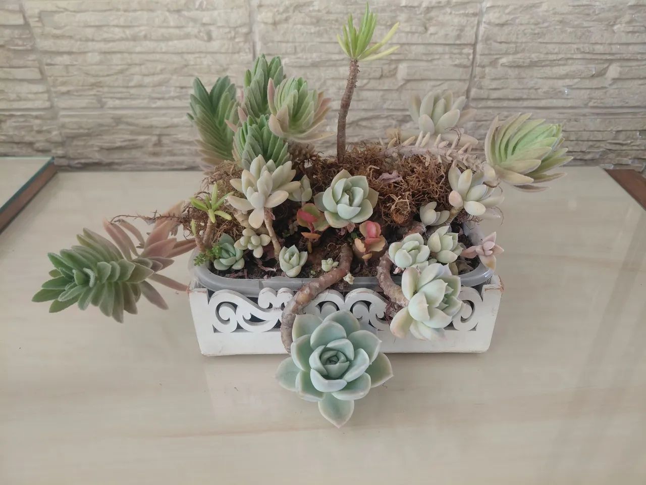 Jardinagem 