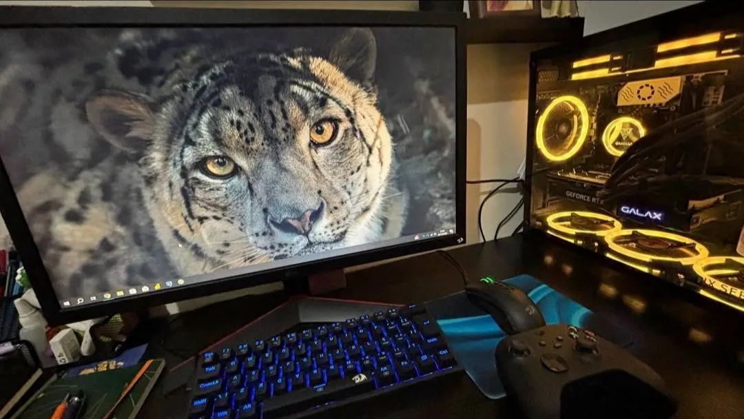 PC Gamer Completo | RTX 3050