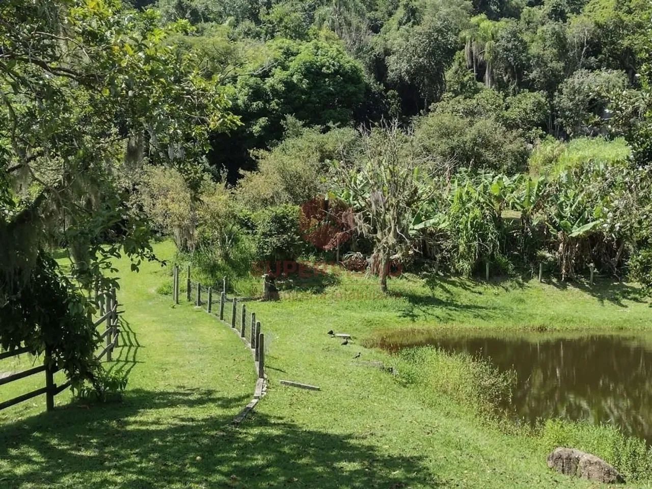 Terreno à venda, 49.872 m² - Jurerê - Florianópolis/SC