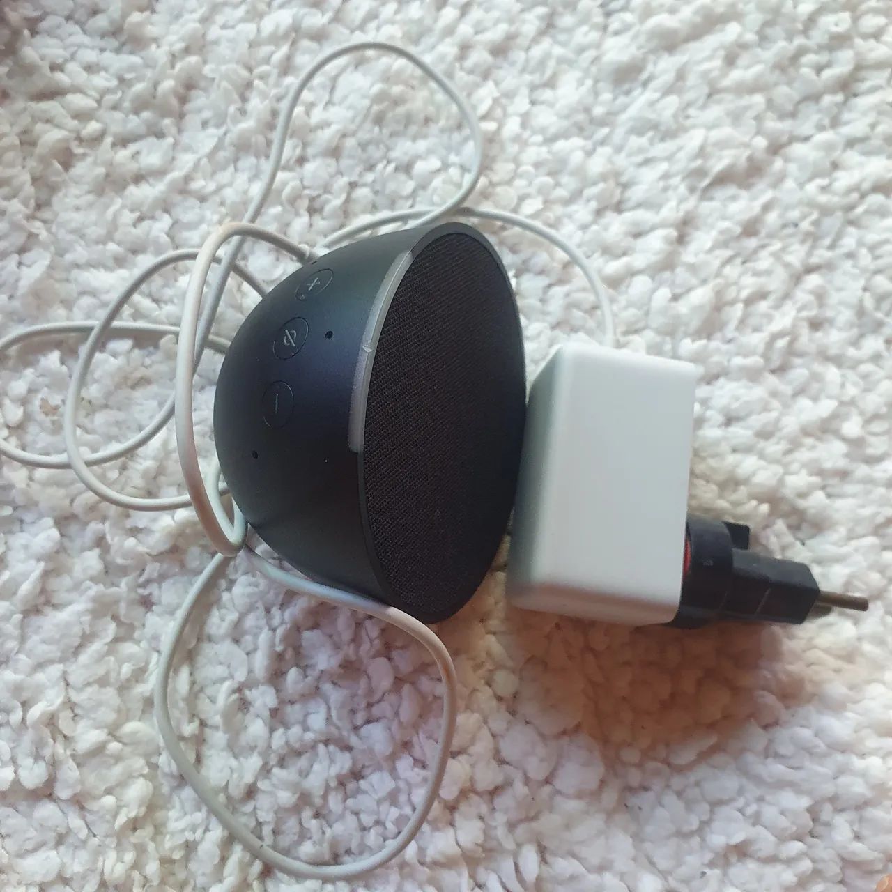 Alexa Eco Pop