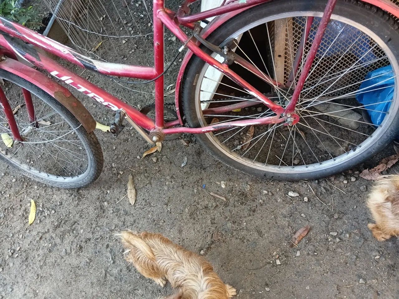 Bicicleta ultra reforçada  - Foto 2
