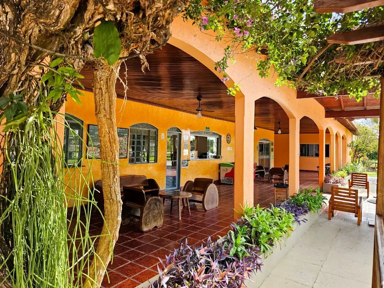 Hotel Pantanal com 30 suites no Centro - Miranda - MS - Foto 4
