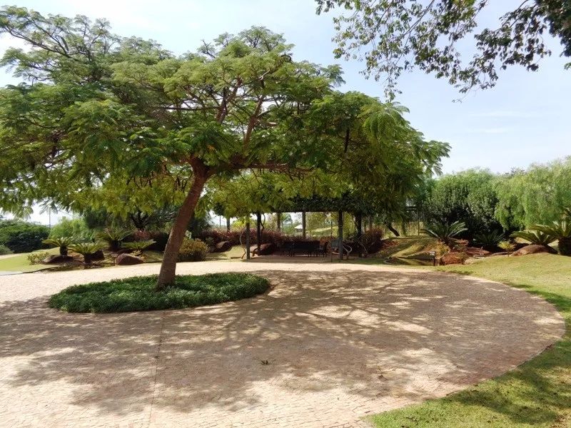 Terrenos e Chácaras - CONDOMÍNIO RESIDENCIAL MONTE ALEGRE - Foto 4