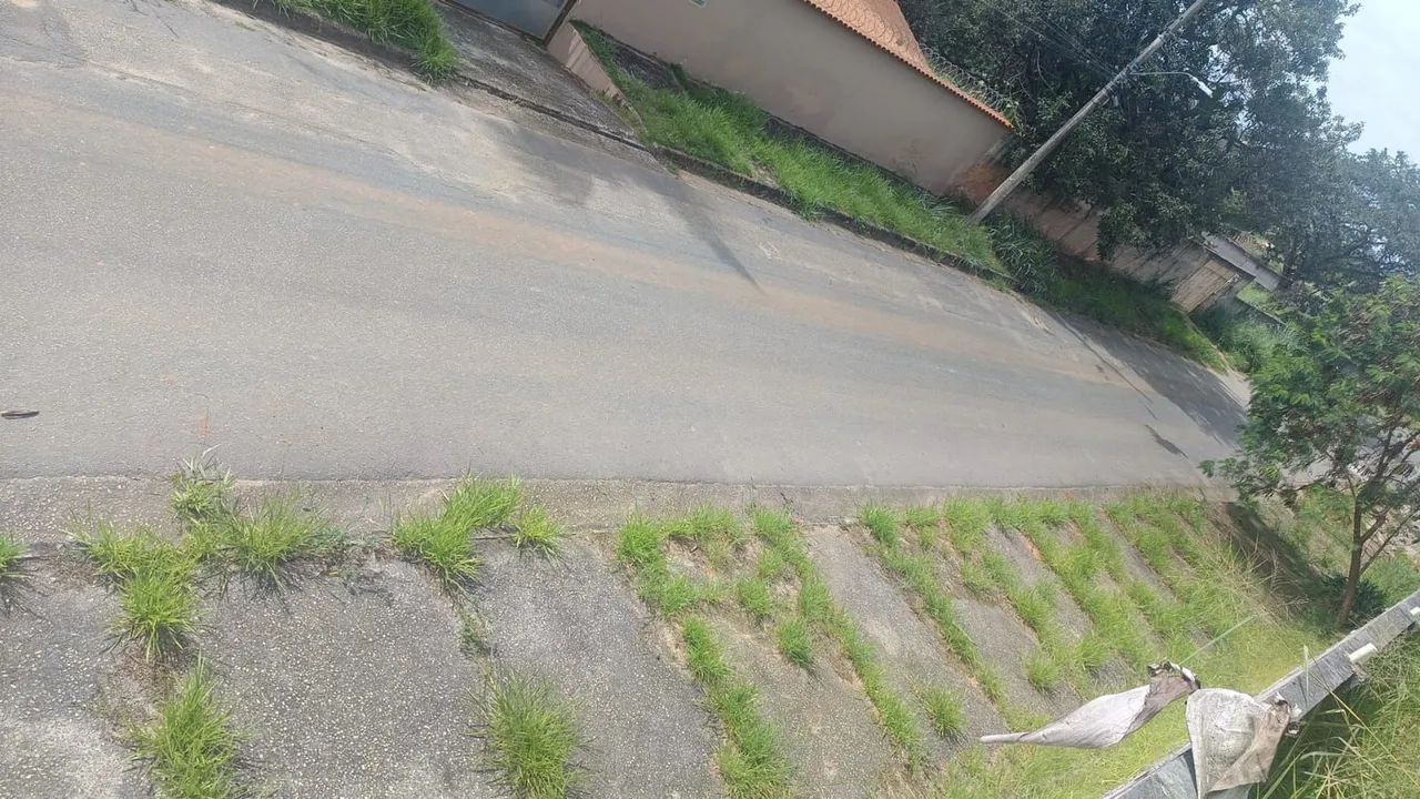 3 lotes de  1000 M2 cada
