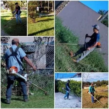 Jardinagem e manutenção