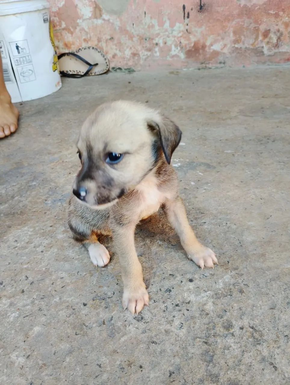 Doação  - Foto 4