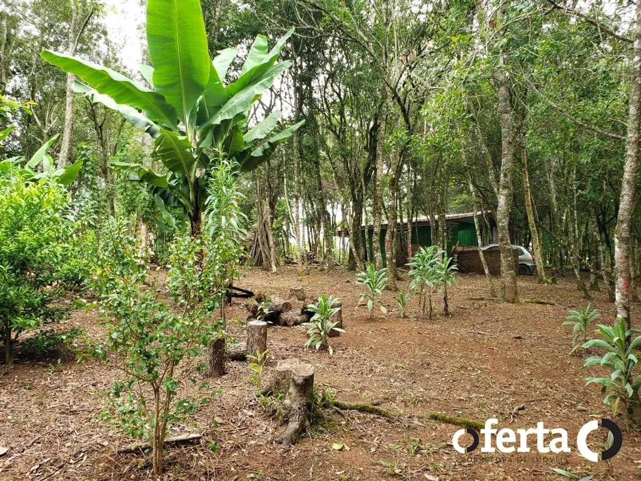 Chácara com casa em Contenda - Foto 4