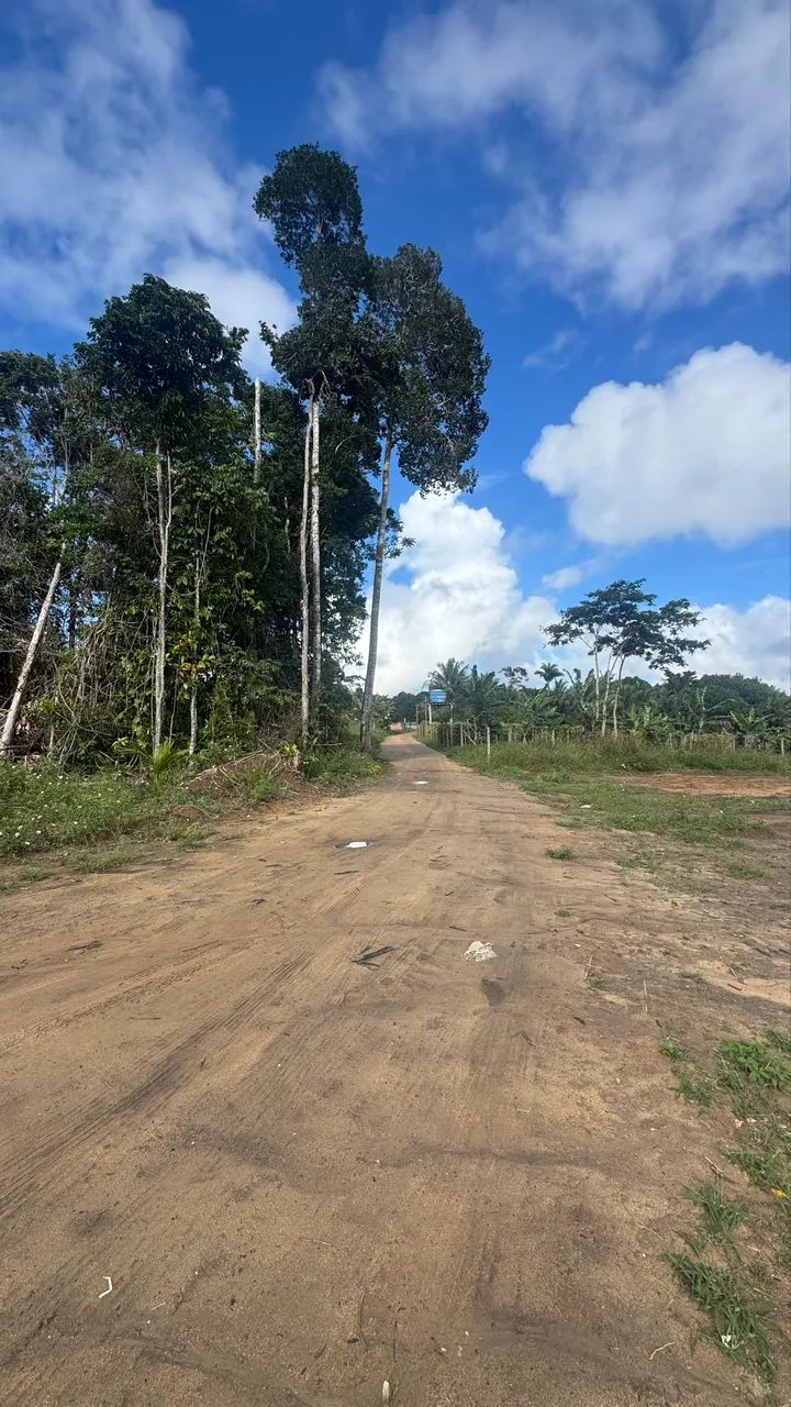 Terreno - Foto 2
