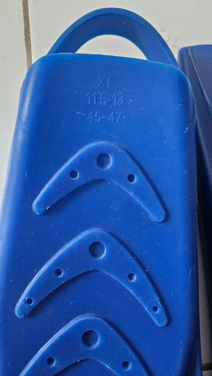 Nadadeira e Palmar Leader - Foto 4