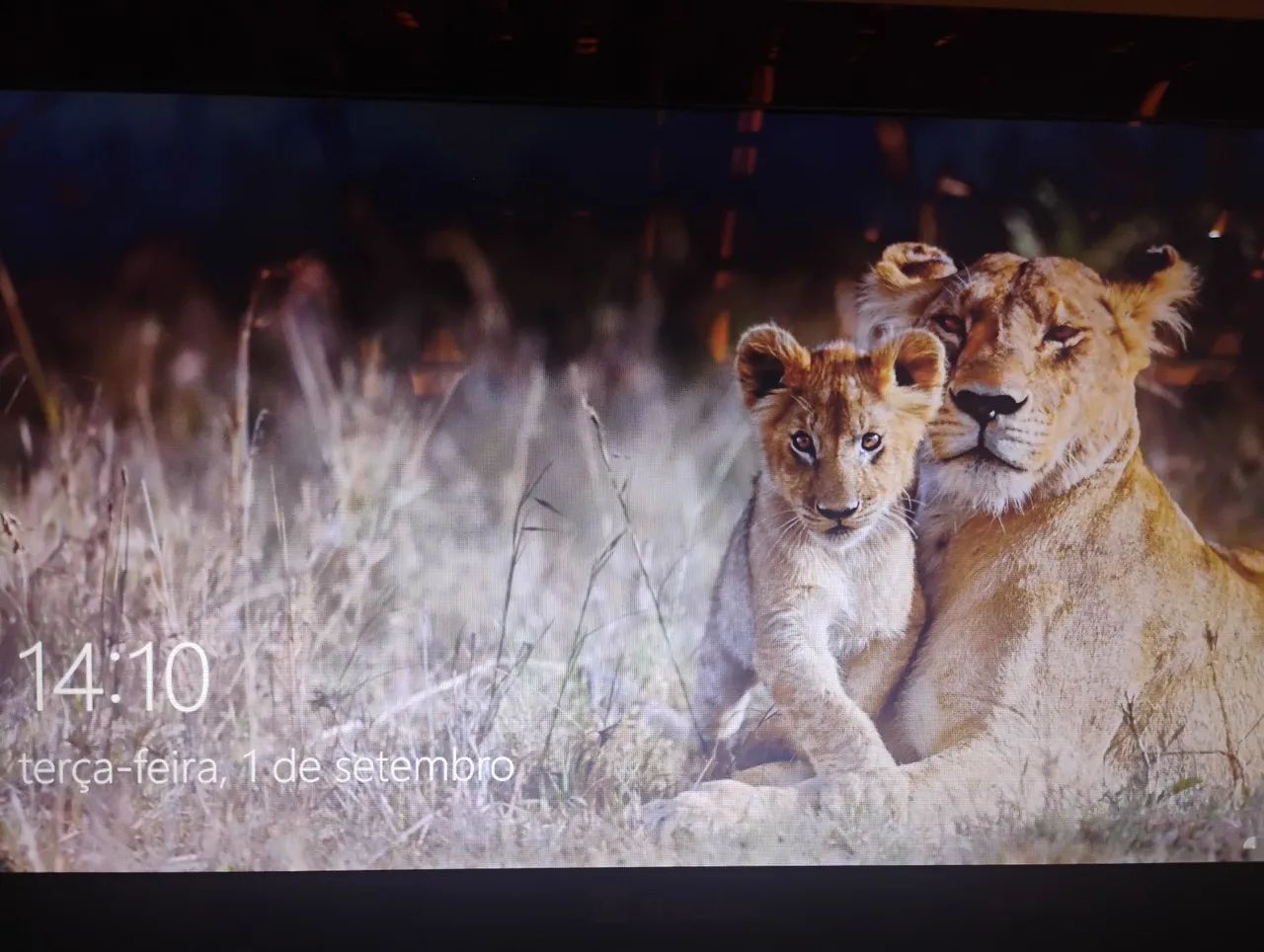 Notebook Intel Core i3 | 4GB RAM | HD 500GB - Foto 4