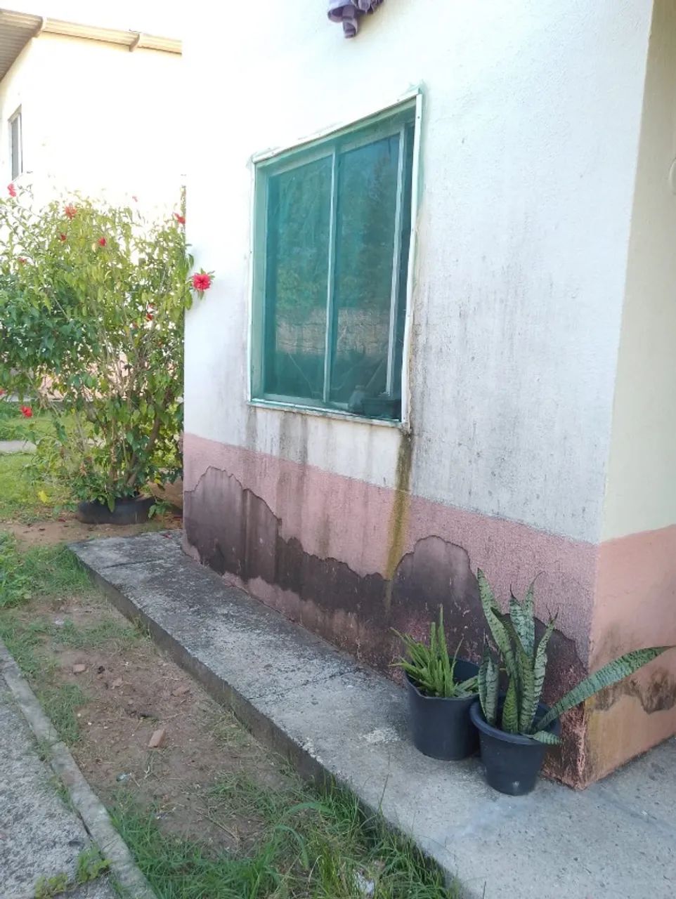 Apartamento - Foto 3