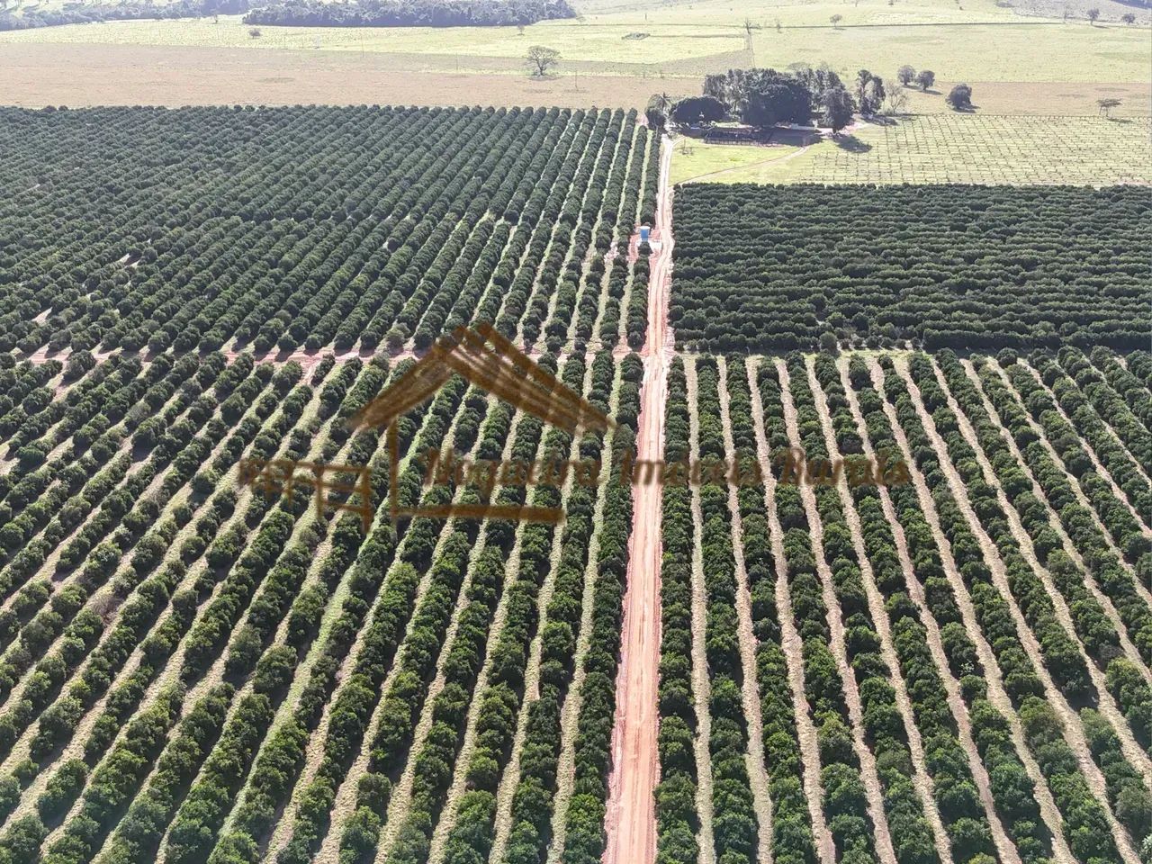 Fazenda com 75 alqueires na região de Garça-SP - Foto 4