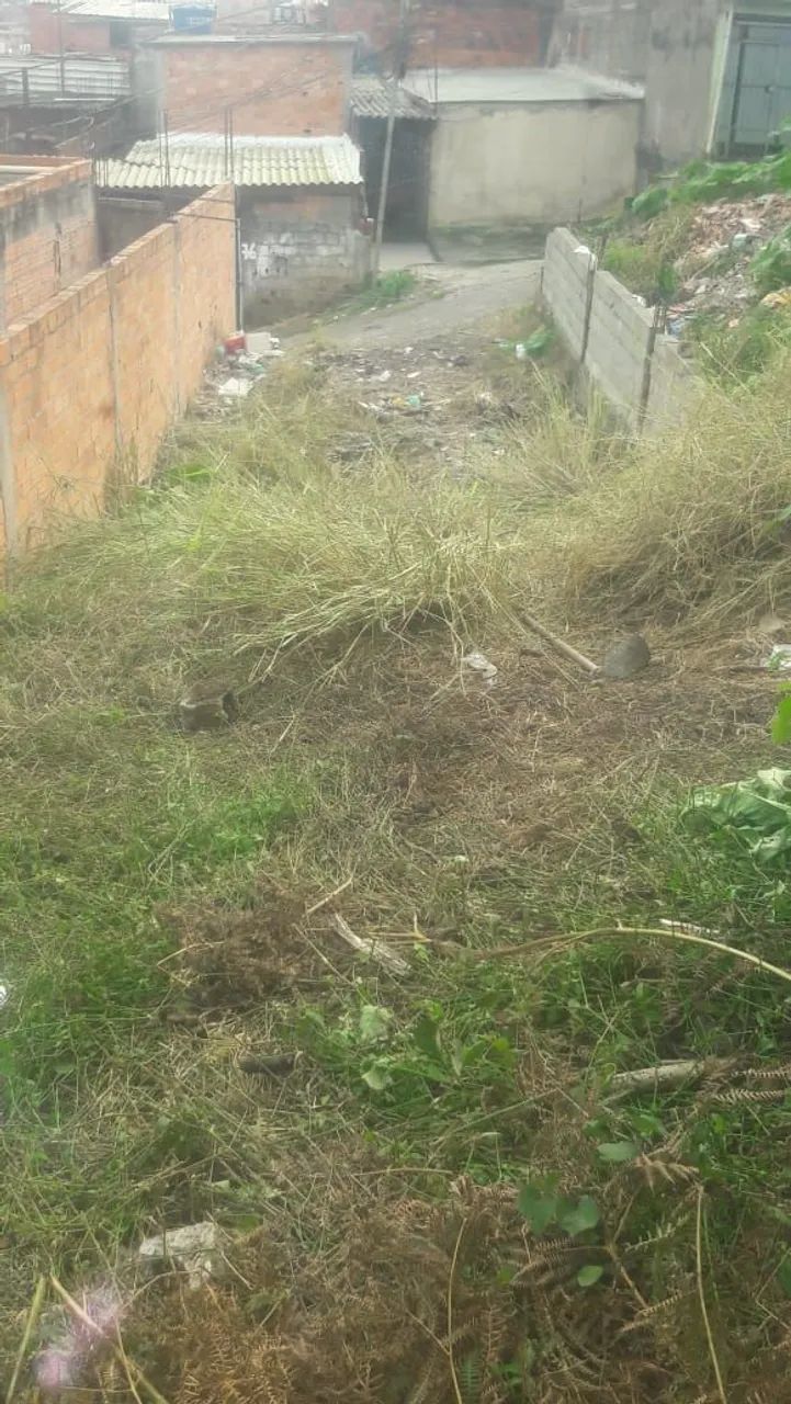 Foto - São Paulo - Jardim da Conquista (Zona Leste)