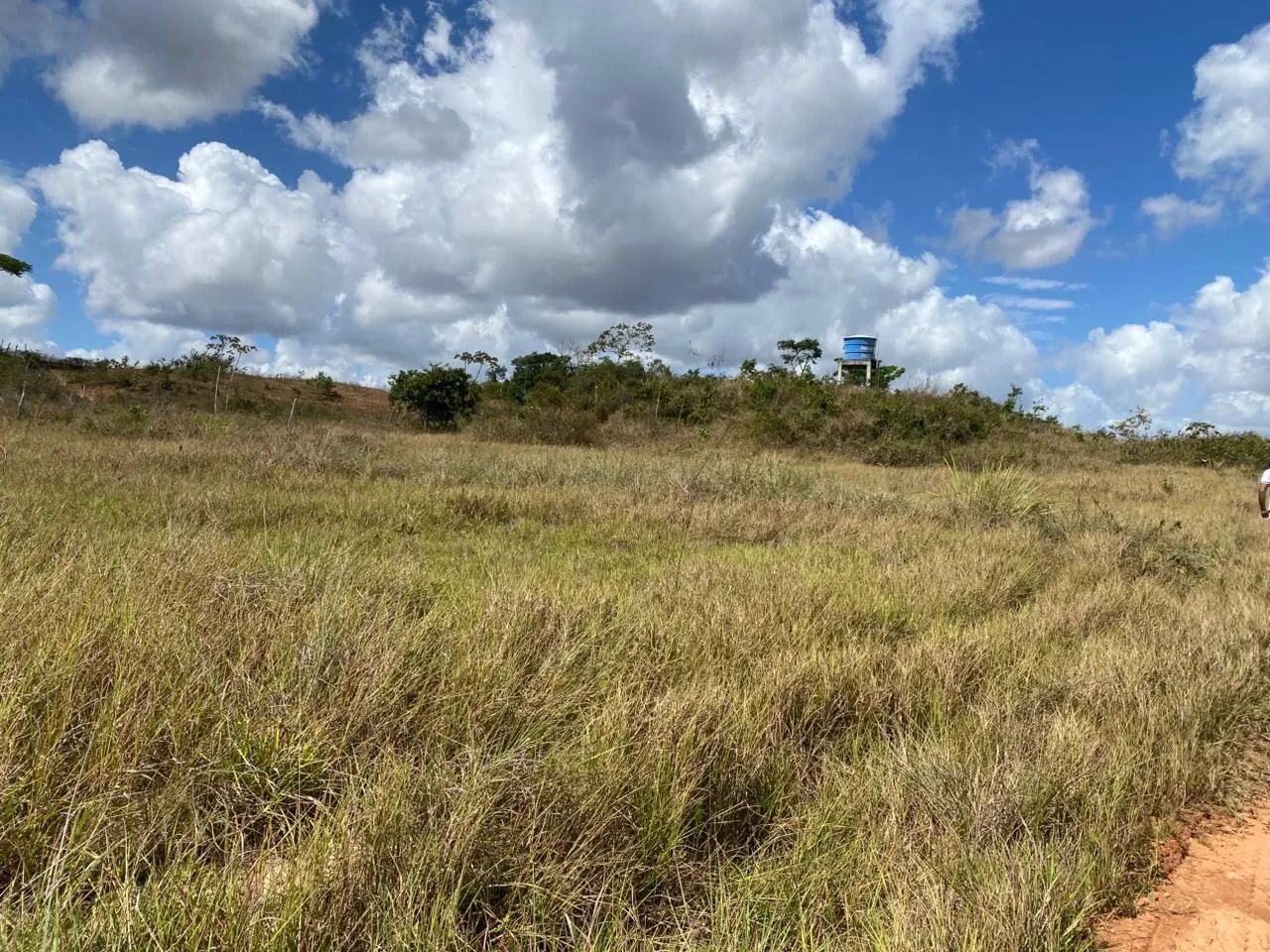 2 Terrenos ( Municipio Salgado ) - Foto 2