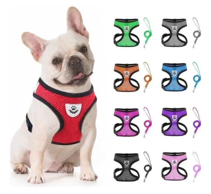 Coleira Peitoral Cão e Gato