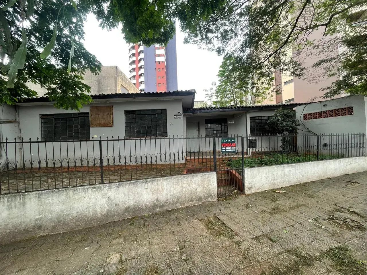 Terreno comercial/residencial - Zona 07 - Maringá/PR - Foto 4